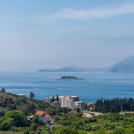 Pansion Arte Zvrko Appartement Zvekovica Buitenkant foto